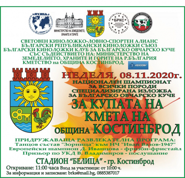 Национален шампионат събира най-расовите кучета на България в Костинброд